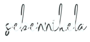 Sebennikela : Réflexions sur les organisations, leurs discours et leurs systèmes de communication.